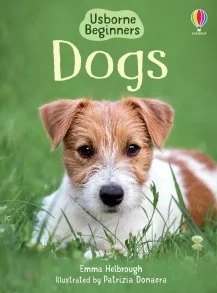 Beginners Dogs